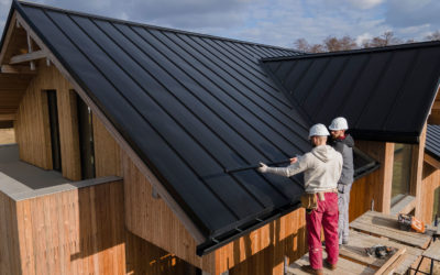 Popular Home Renovation Trends in 2022
